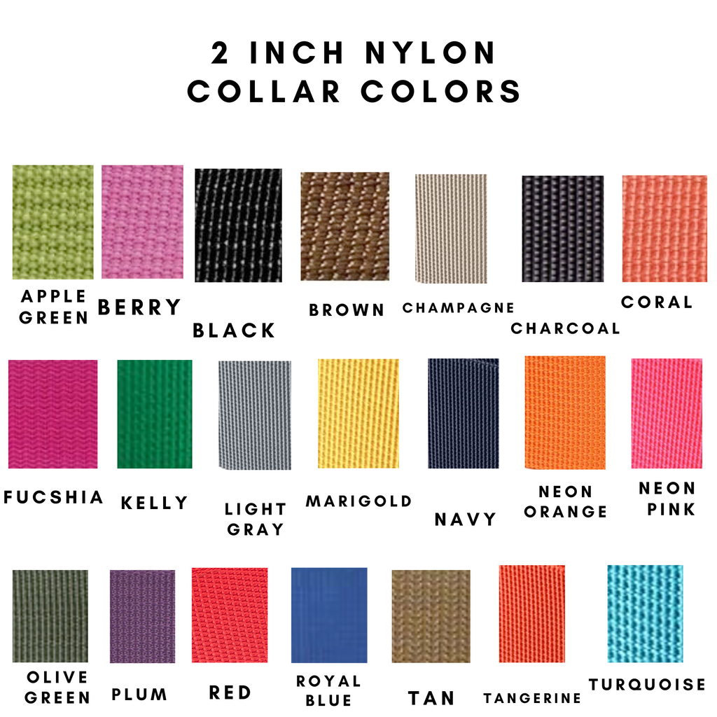 Classic Solid Nylon Personalized Collar 2 inch
