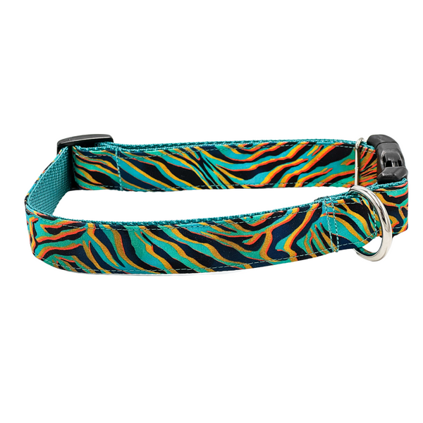 Zebra print 2025 dog collar