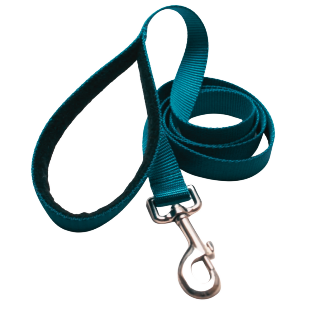 Classic Solid Nylon Dog Leash - 4 Foot, 5 foot, or 6 Foot Lengths