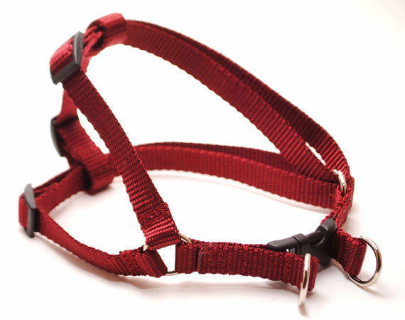 Classic Solid Nylon - Step in Harness