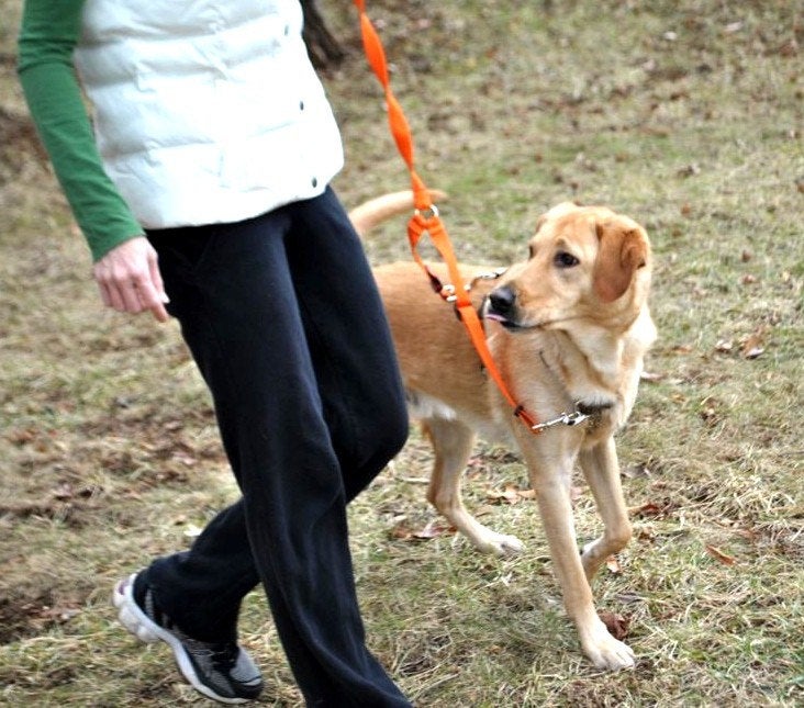 Dual Walker Dog Leash - 2 Hooks for No-Pull Training for 1 dog