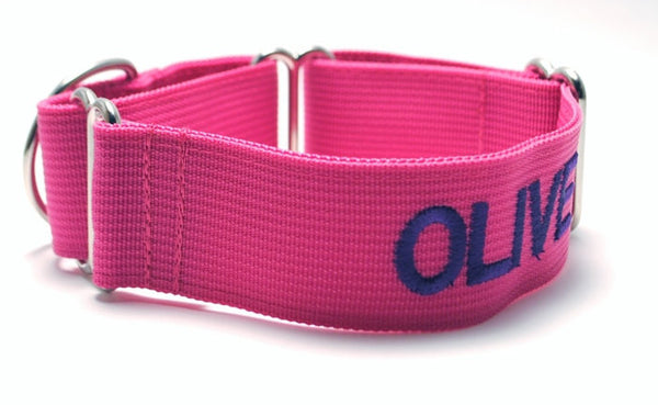 Personalized nylon dog collar hotsell