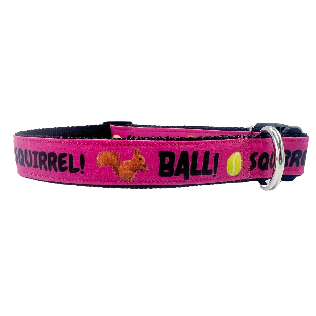 Ball! Squirrel! in Hot Pink