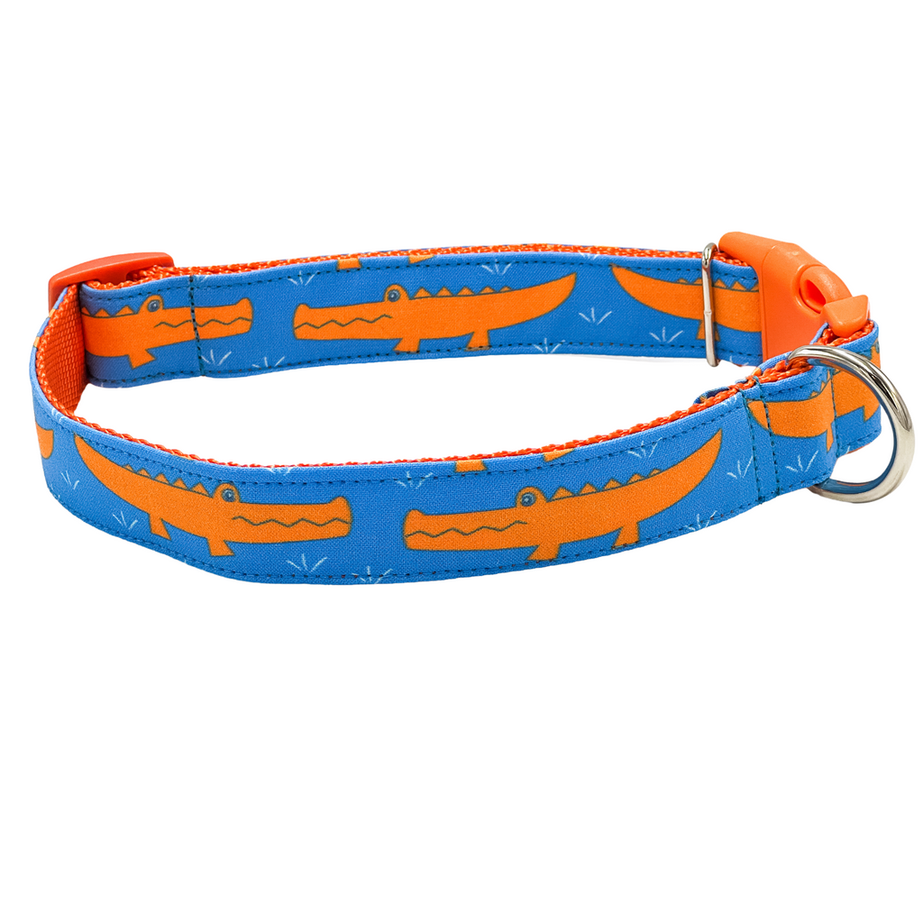 Orange and Blue Crocodile