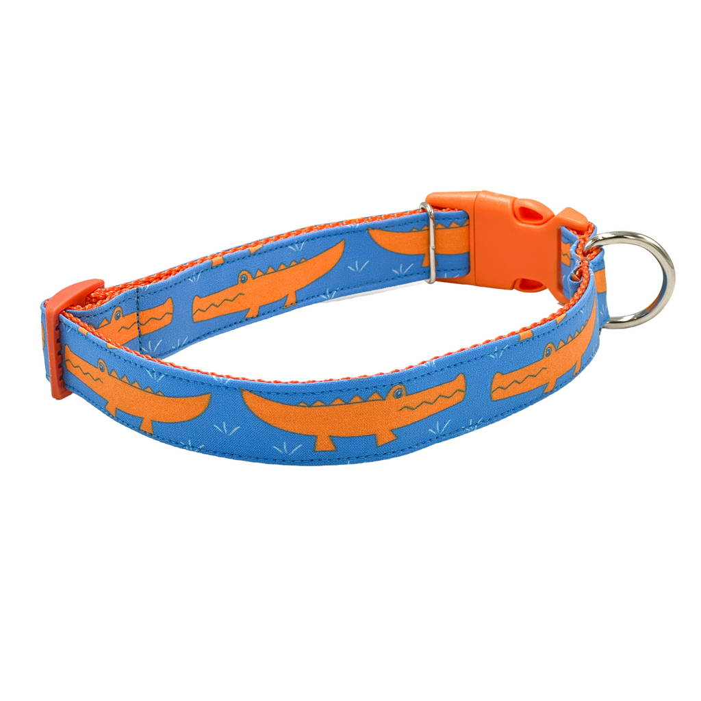 Orange and Blue Crocodile