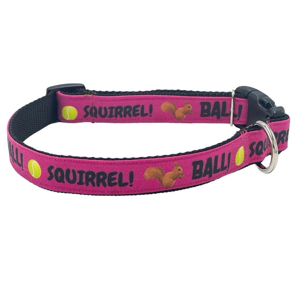 Ball! Squirrel! in Hot Pink