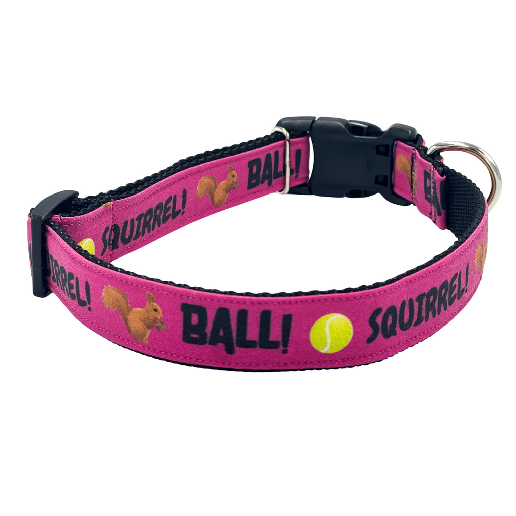 Ball! Squirrel! in Hot Pink