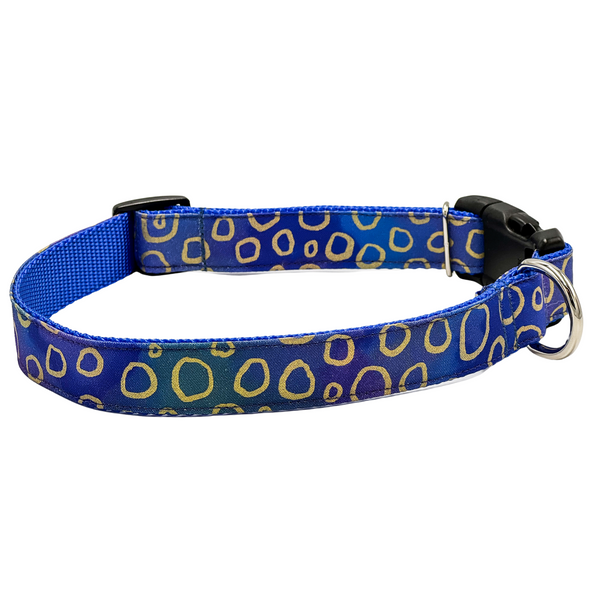Ombre dog collar best sale