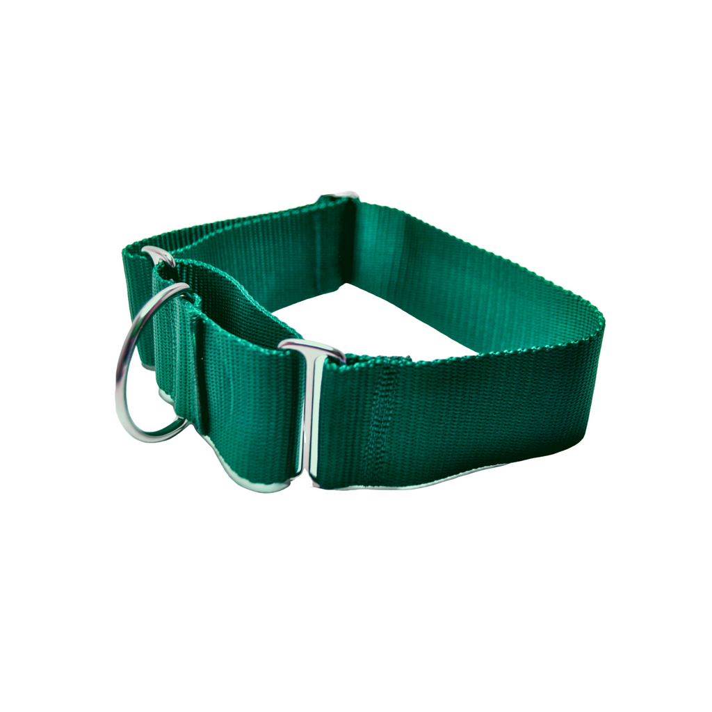 1.5 inch Solid Nylon Martingale or Buckle Martingale Collar