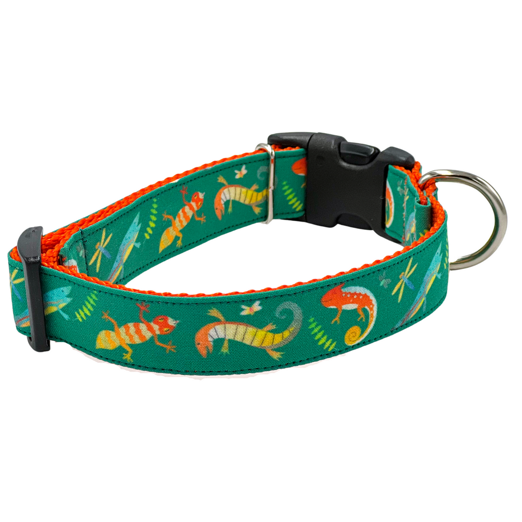 Lizards and Geckos