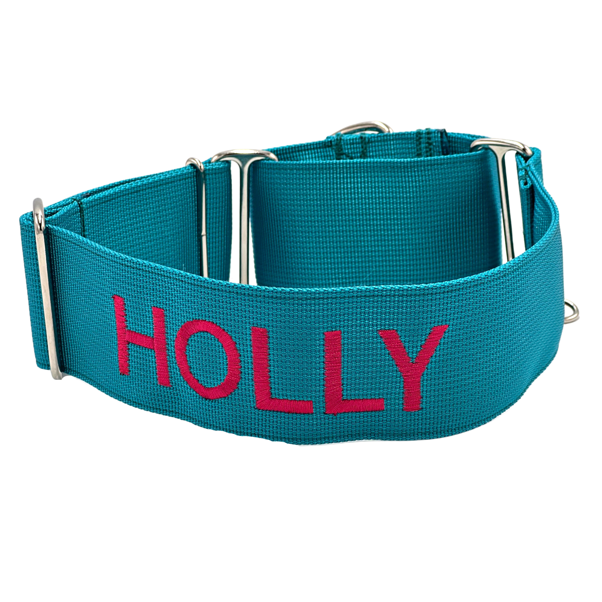 Personalized Nylon Webbing Dog Collar inch - Main Image