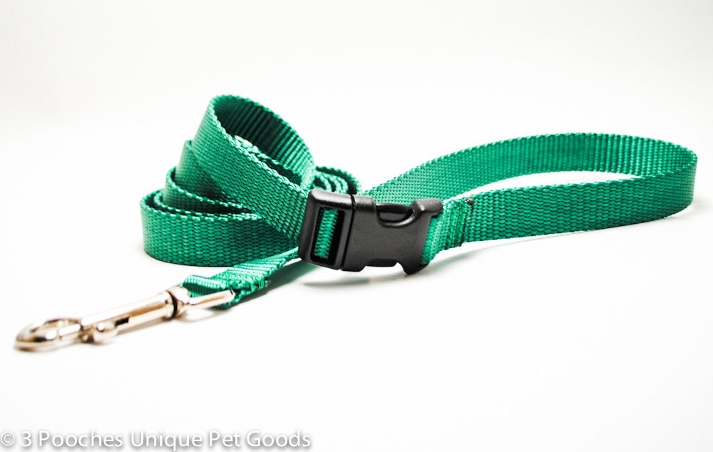 solid buckle dog leash