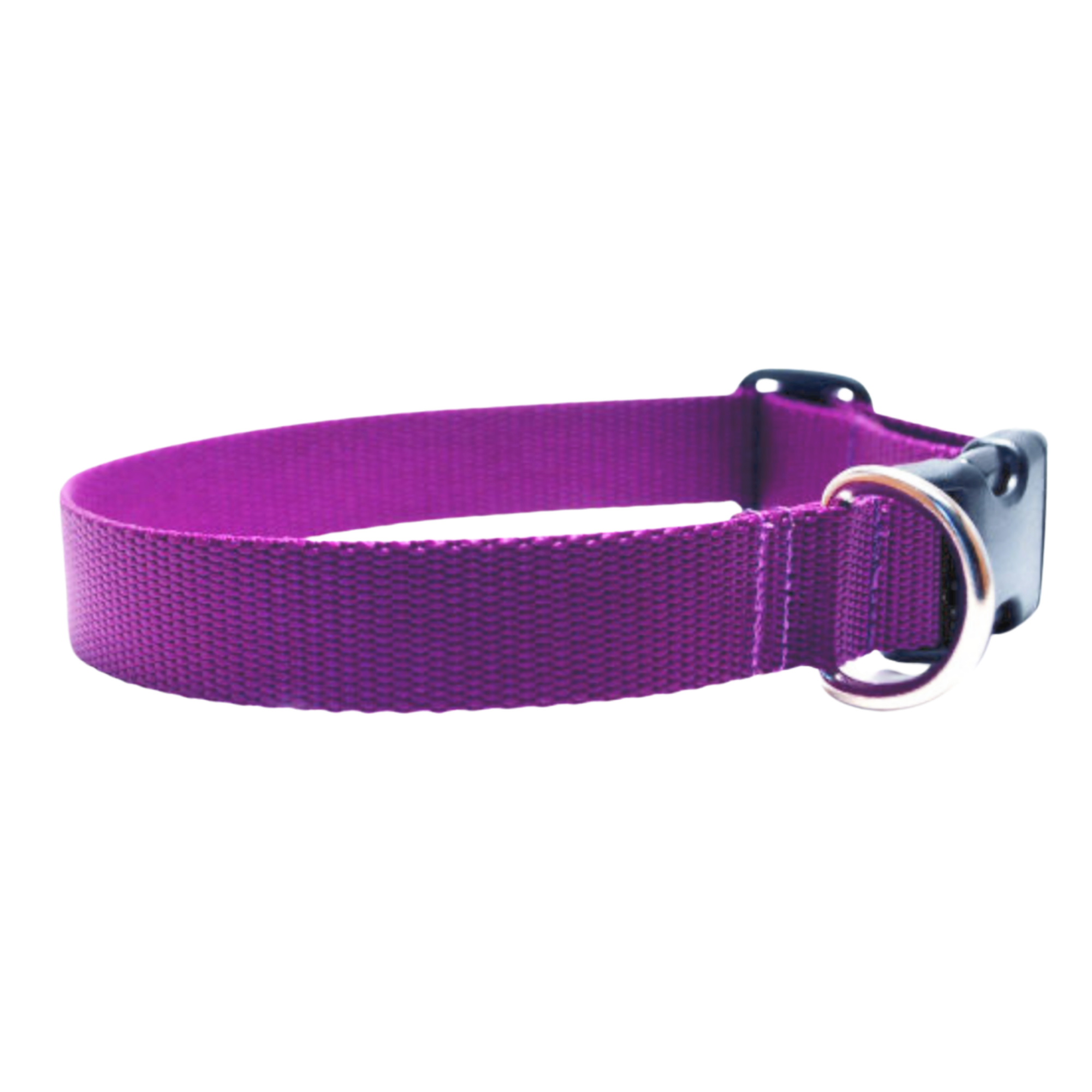 Flat Solid Nylon Buckle Collar