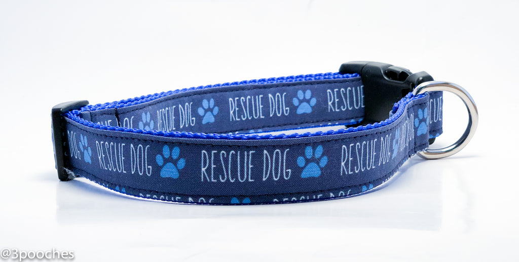 Rescue Dog in Blue