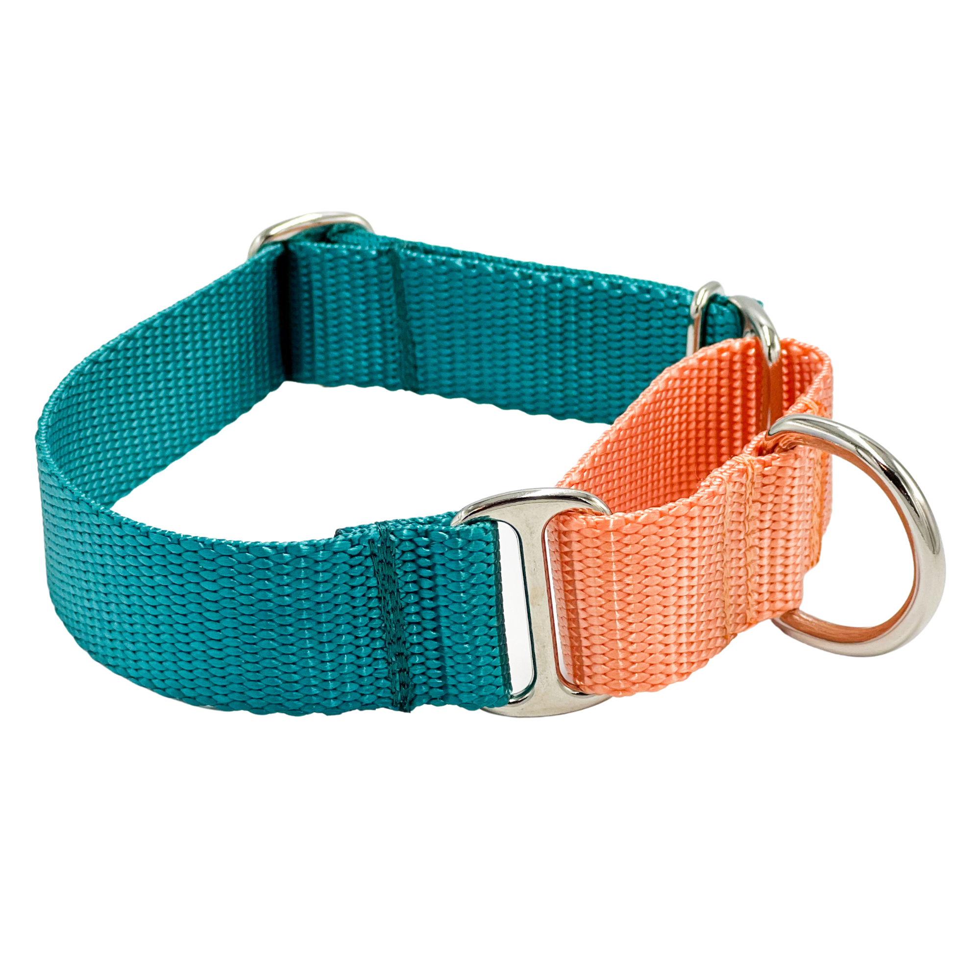 Nylon Webbing Martingale Dog Collar or Buckle Martingale