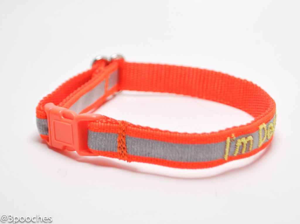 Personalized Reflective Cat Safety Collar